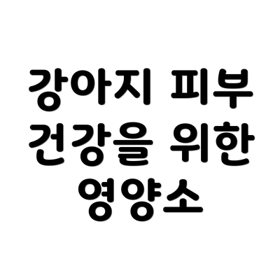 강아지 피부 건강을 위한 영양소