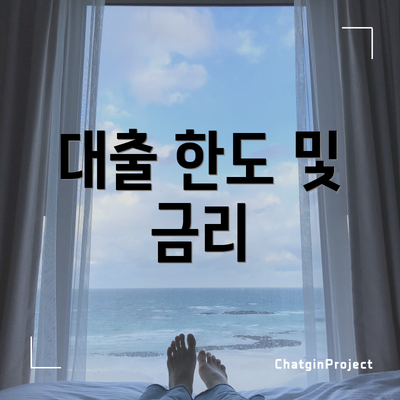 대출 한도 및 금리