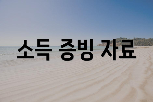 소득 증빙 자료
