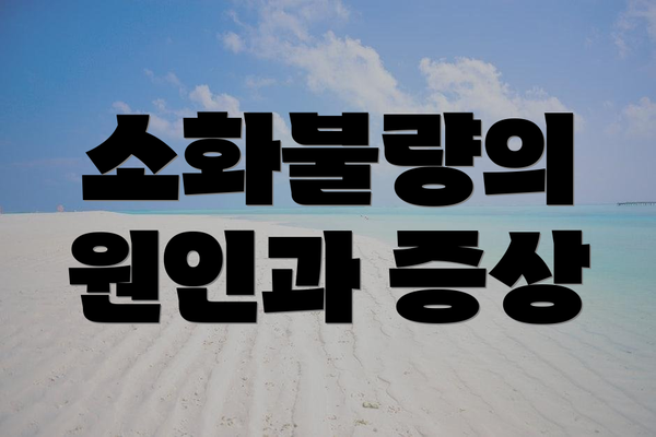 소화불량의 원인과 증상
