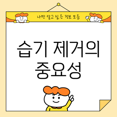 습기 제거의 중요성