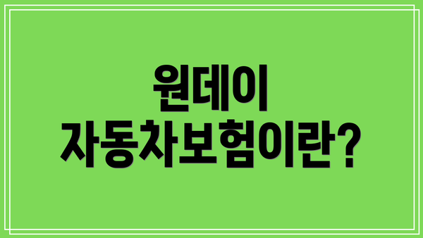 원데이 자동차보험이란?