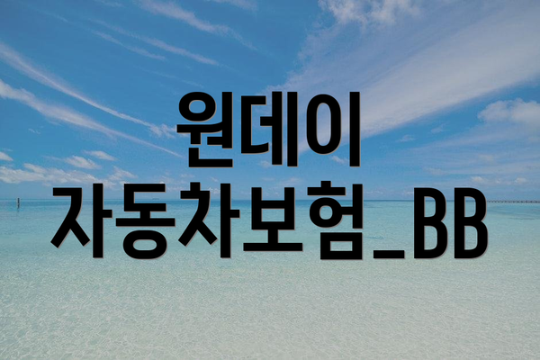 원데이 자동차보험_BB