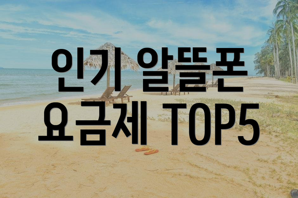 인기 알뜰폰 요금제 TOP5