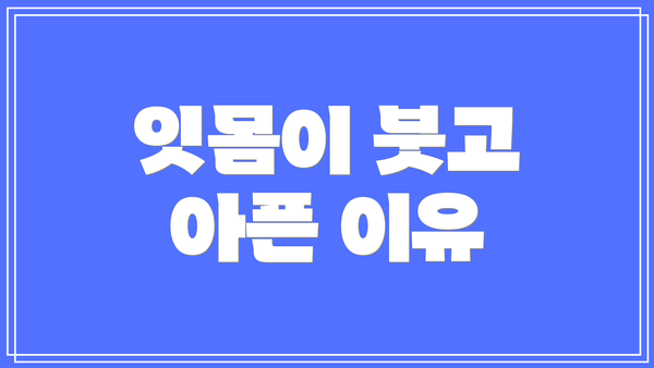 잇몸이 붓고 아픈 이유