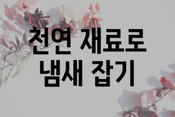 천연 재료로 냄새 잡기