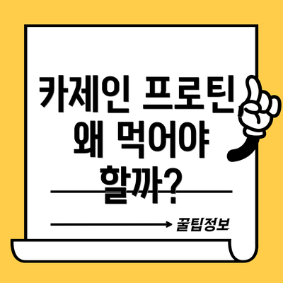 카제인 프로틴, 왜 먹어야 할까?