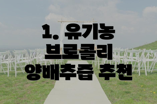 1. 유기농 브로콜리 양배추즙 추천