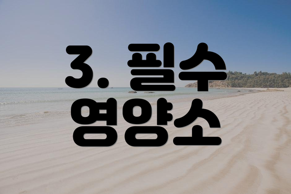 3. 필수 영양소