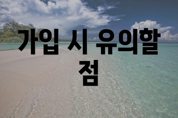 가입 시 유의할 점