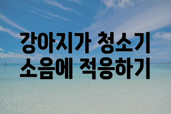 강아지가 청소기 소음에 적응하기