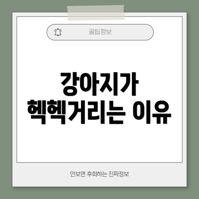 강아지가 헥헥거리는 이유