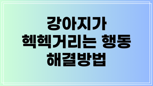 강아지가 헥헥거리는 행동 해결방법