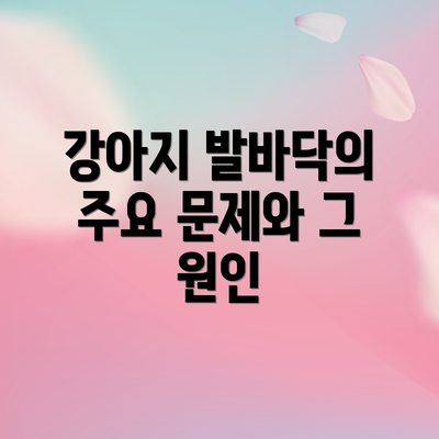 강아지 발바닥의 주요 문제와 그 원인