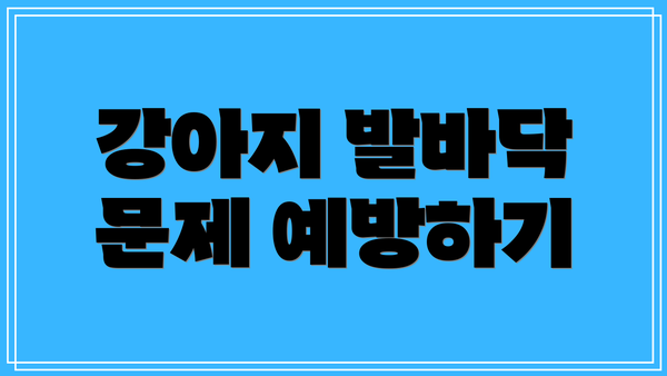 강아지 발바닥 문제 예방하기