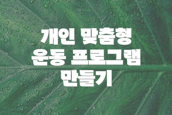 개인 맞춤형 운동 프로그램 만들기