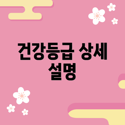 건강등급 상세 설명