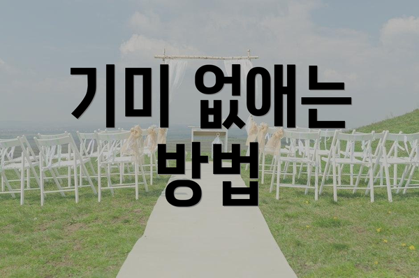 기미 없애는 방법