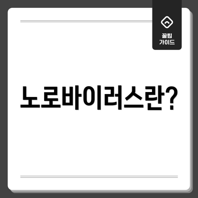 노로바이러스란?