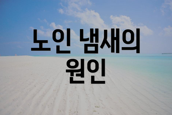 노인 냄새의 원인