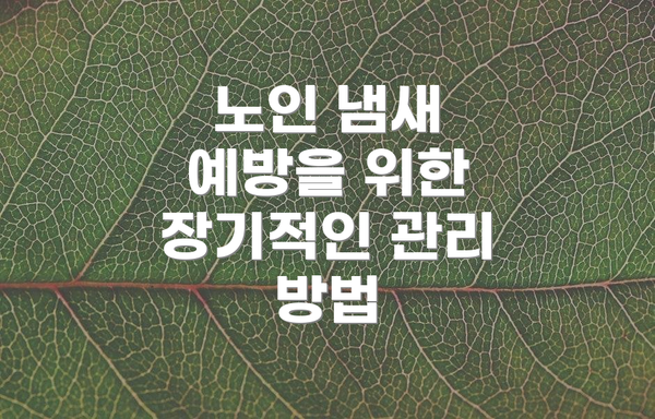 노인 냄새 예방을 위한 장기적인 관리 방법