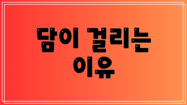 담이 걸리는 이유