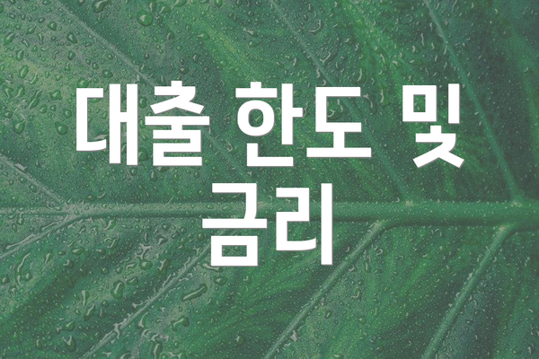 대출 한도 및 금리
