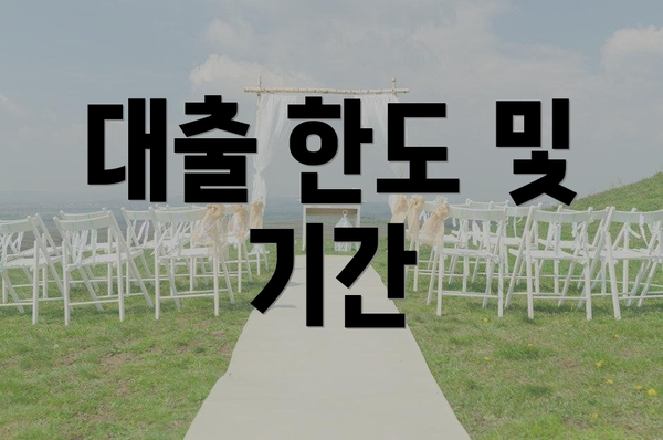 대출 한도 및 기간