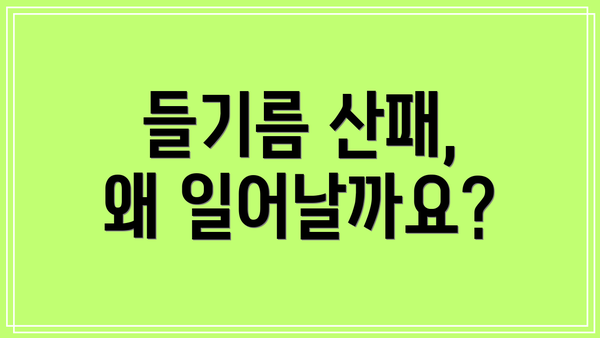 들기름 산패, 왜 일어날까요?