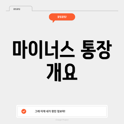 마이너스 통장 개요