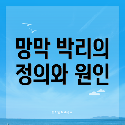 망막 박리의 정의와 원인