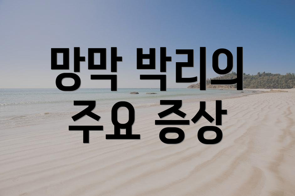 망막 박리의 주요 증상