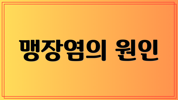 맹장염의 원인