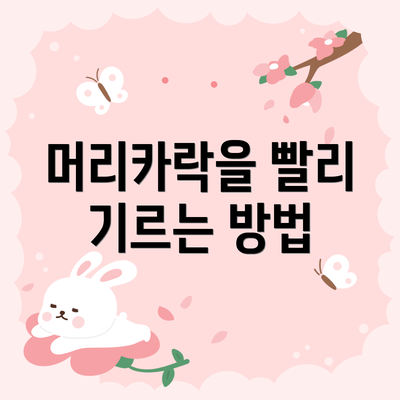 머리카락을 빨리 기르는 방법