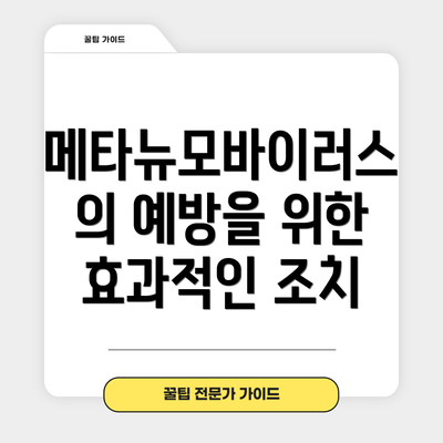 메타뉴모바이러스의 예방을 위한 효과적인 조치