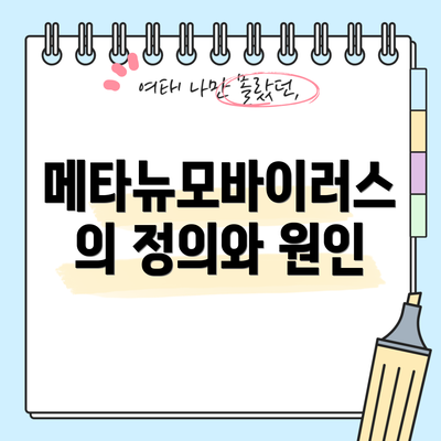 메타뉴모바이러스의 정의와 원인