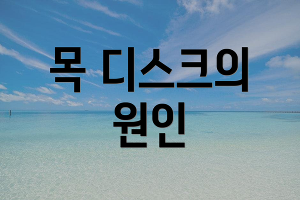 목 디스크의 원인