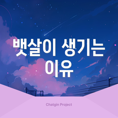 뱃살이 생기는 이유