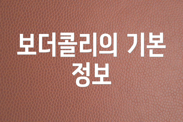 보더콜리의 기본 정보