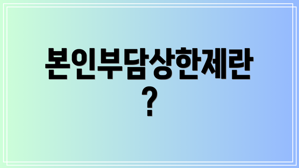 본인부담상한제란?