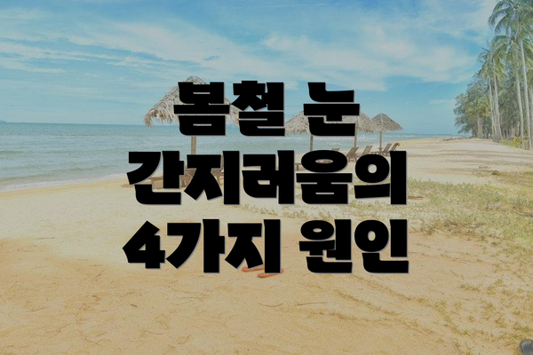 봄철 눈 간지러움의 4가지 원인