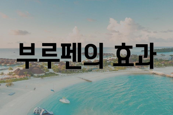 부루펜의 효과