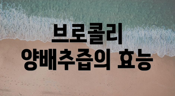 브로콜리 양배추즙의 효능