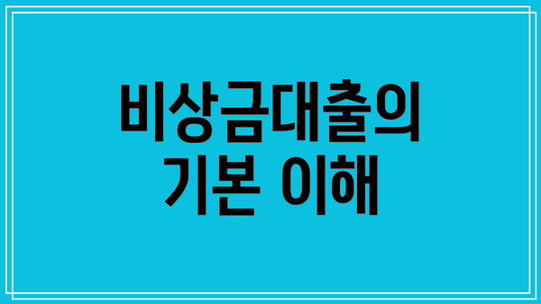 비상금대출의 기본 이해