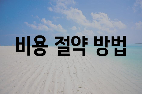 비용 절약 방법