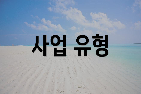 사업 유형
