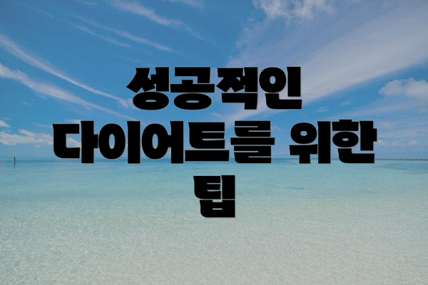 성공적인 다이어트를 위한 팁