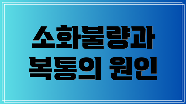 소화불량과 복통의 원인