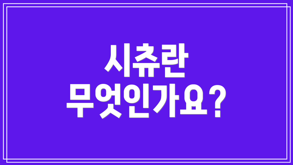 시츄란 무엇인가요?