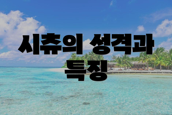 시츄의 성격과 특징